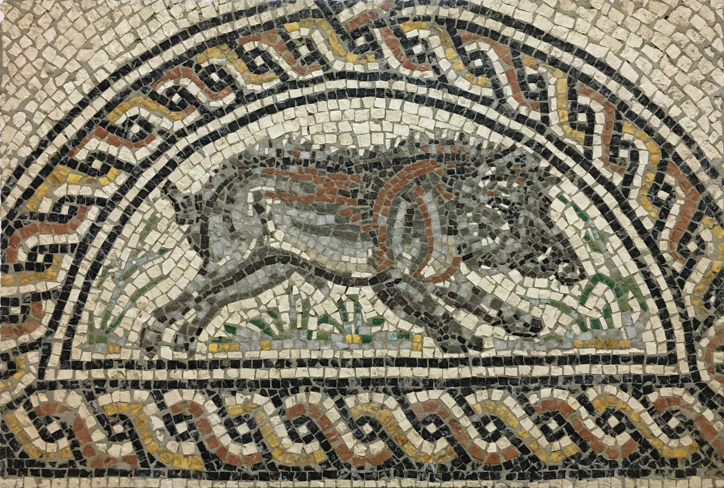 Boar from the Seasons of the Year Mosaic