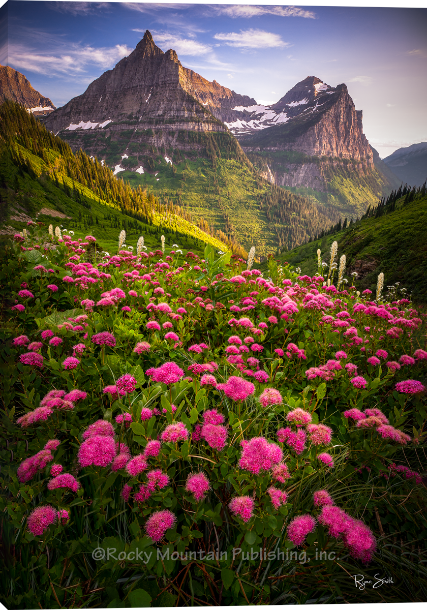 Bombshell Mountains Flowers Canvas Art by Ryan Smith