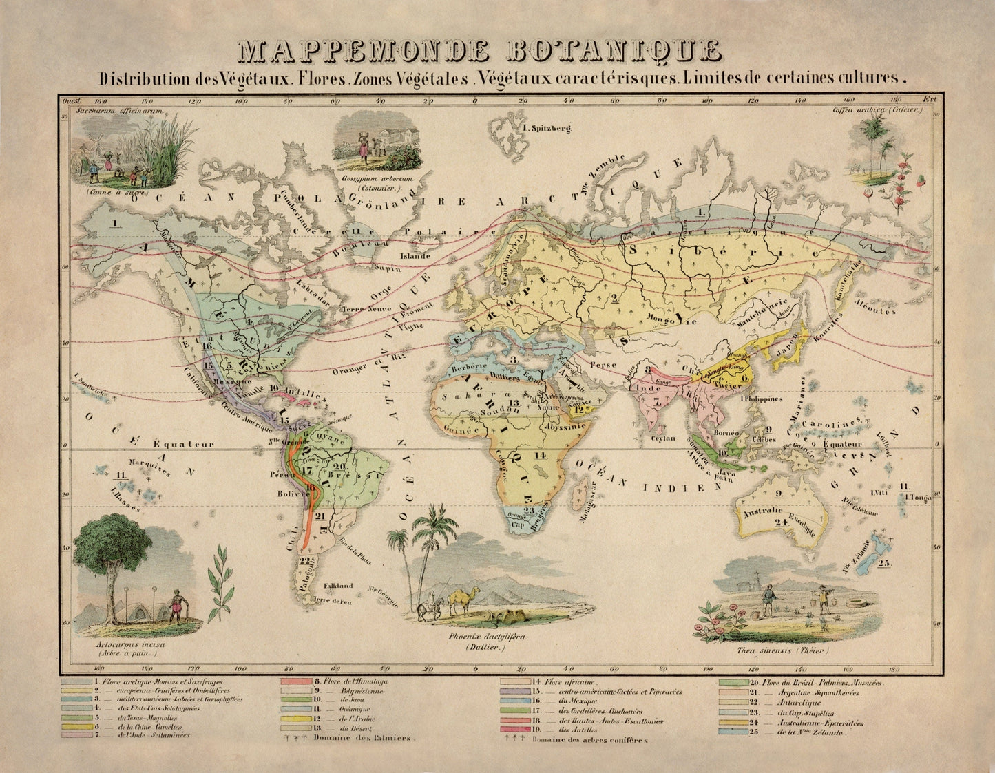 Botanical World Map dated 1858