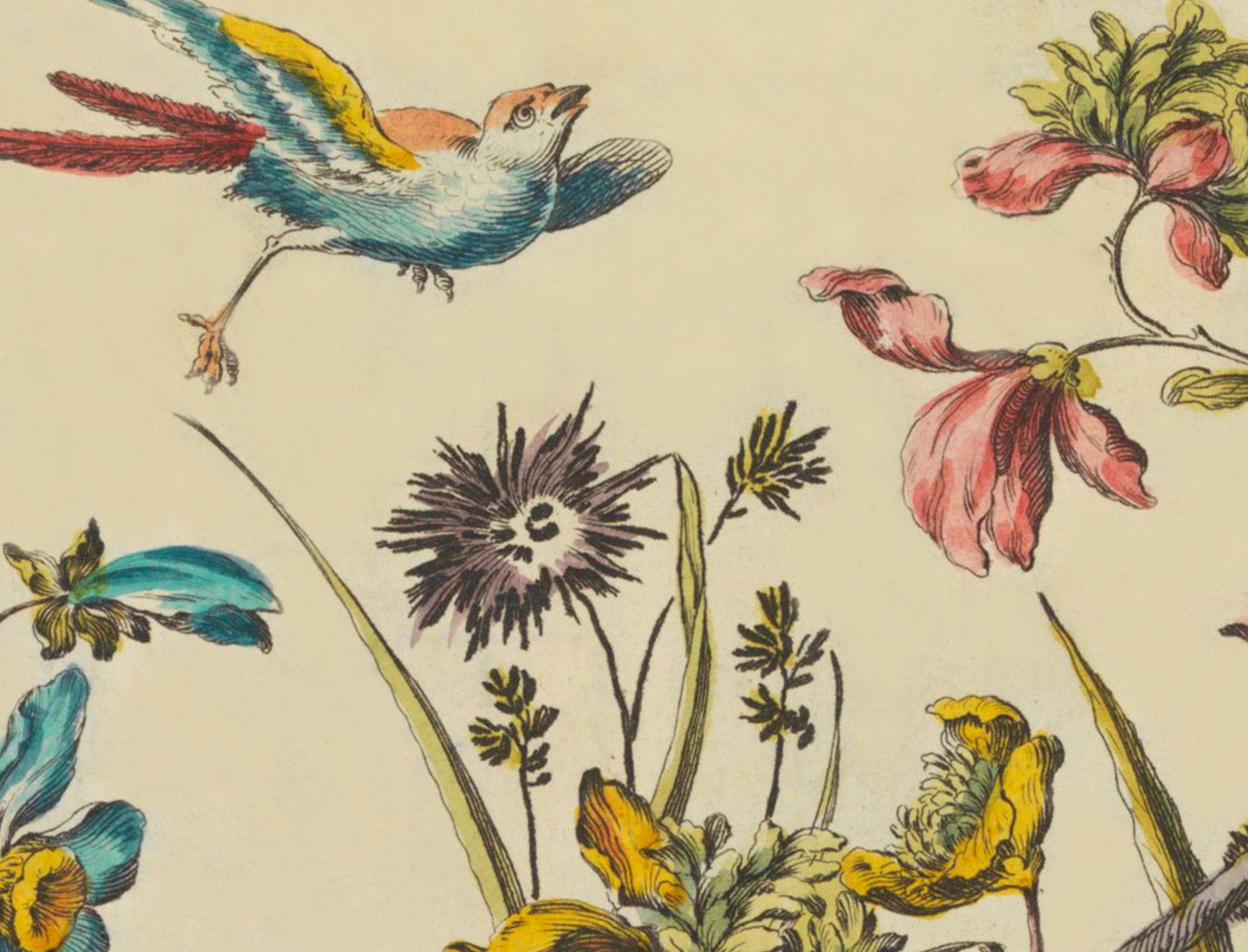Botanical Bird Print