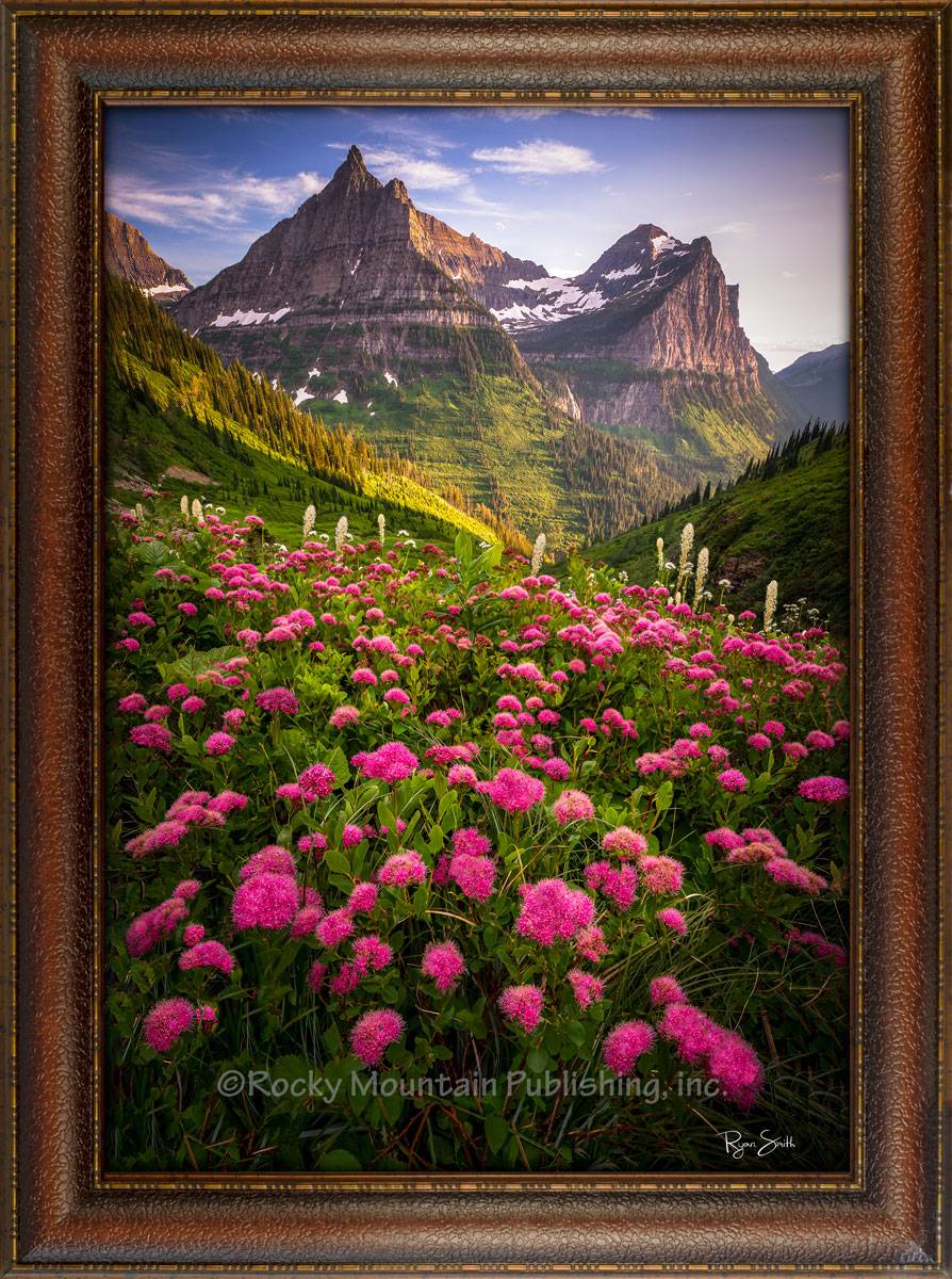 Bombshell Mountains Flowers Canvas Art by Ryan Smith