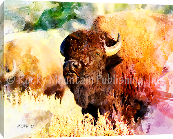 Boss ¨C American Bison Art Prints by Mitchell Mansanarez