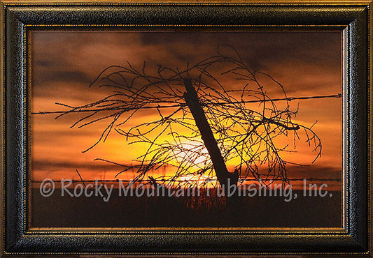 Blowing in the Wind ¨C Framed Giclee Canvas by Dan Ballard