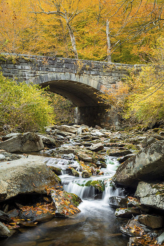 Bridge to the Smokies by Jason Clemmons