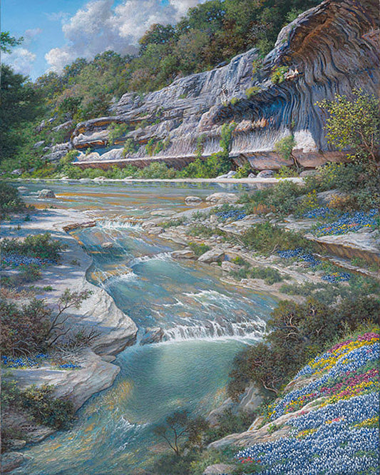 Bluebonnet Amphitheater by Larry Dyke