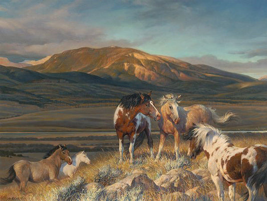 Bright Band by Nancy Glazier