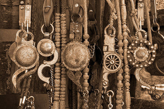 Bridles Western Art Prints by Robert Dawson Artist