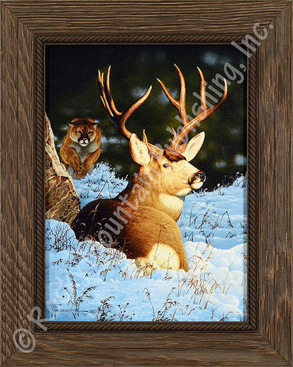 Blind Sided ¨C Framed Print by Tom Mansanarez