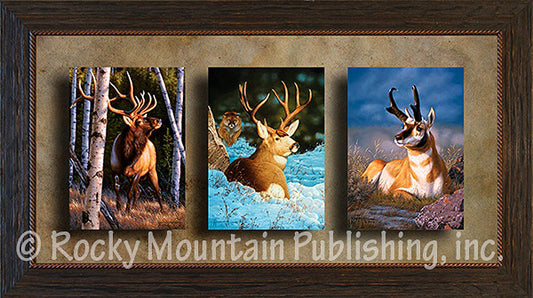 Blind Sided - Triple Giclee Canvas Framed Art Prints by Tom Mansanarez