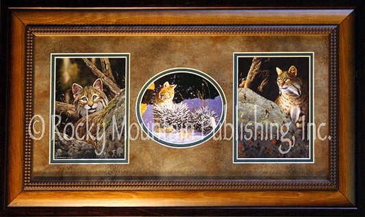 Bobcat ¨C Framed Triple by Tom Mansanarez