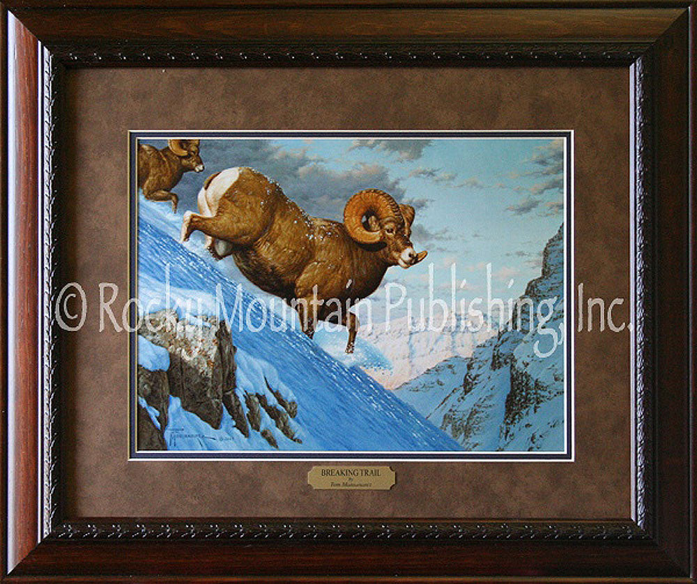 Breaking Trail ¨C Framed Print by Tom Mansanarez
