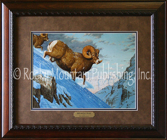 Breaking Trail ¨C Framed Print by Tom Mansanarez