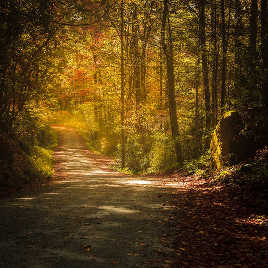 Break on Through Art Prints by Jason Clemmons Artist