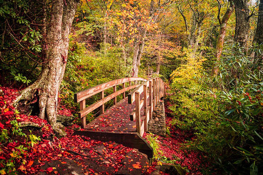 Bridge to Rough Ridge Artwork by Jason Clemmons