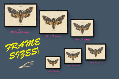 Blue Crane or Heron Print