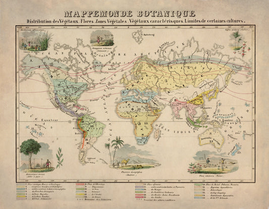 Botanical World Map  dated 1858